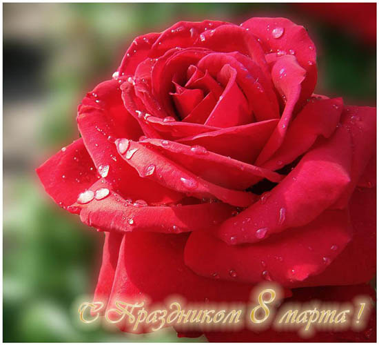 С 8 марта.jpg С 8 марта.jpg